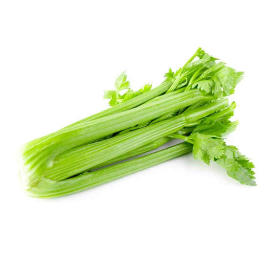 CELERY DOLE 24‘s/case (西芹)