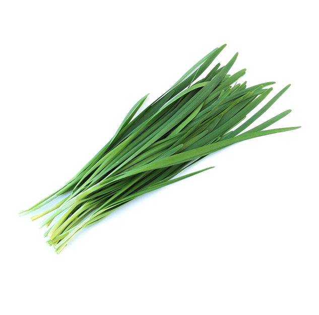 韭菜CHIVES GREEN /lb