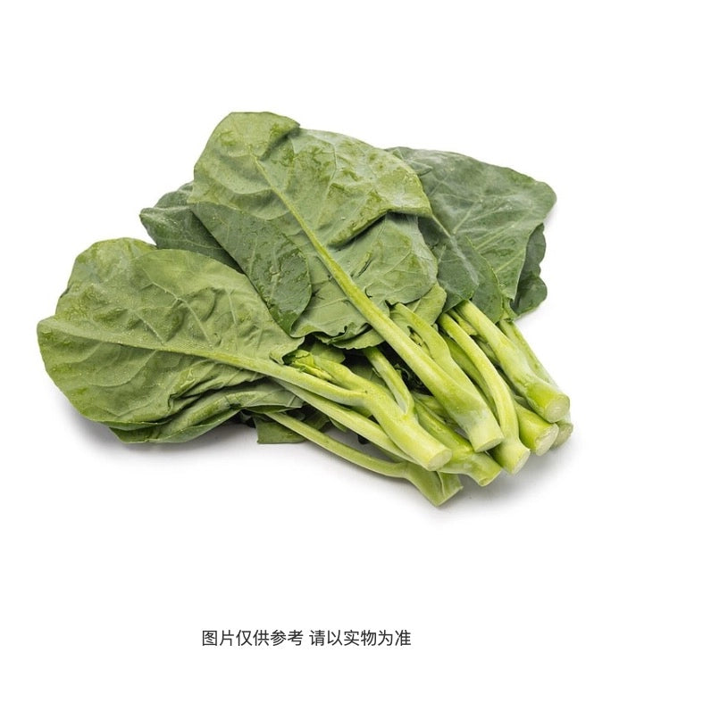 Gai Lan Shoots(芥蓝苗)/lb