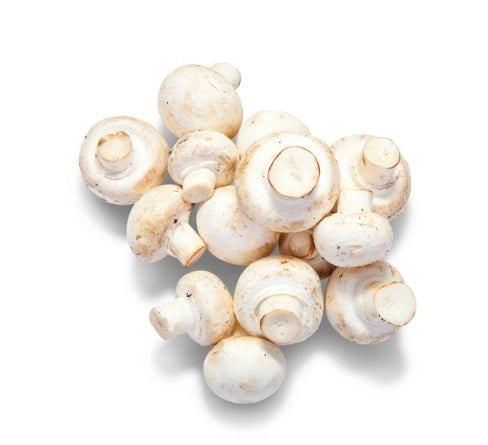 MUSHROOMS WHITE No.1 BC 12*227g (白蘑菇)