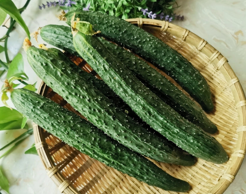 BC Local Farm Cucumber 30lb/case