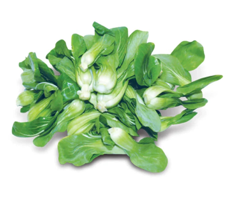 SHANGHAI BOKCHOY MUE BC上海苗(上海白菜苗)25lb/case