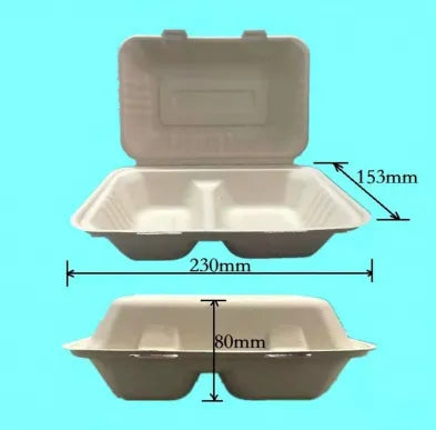 Bio Sugarcane 9x6x3"hinged 2-compartment Container 250/cs