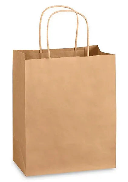 Cm6 Kraft Rope Handle Paper Bag (m) 10*7*11 inch250/cs