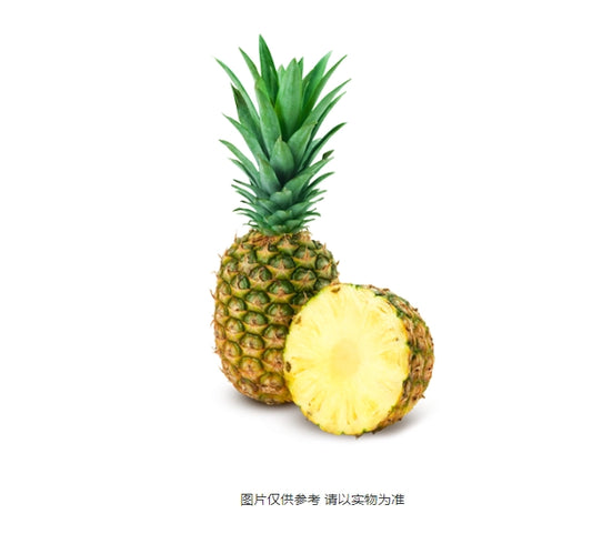 凤梨（菠萝）PINEAPPLES