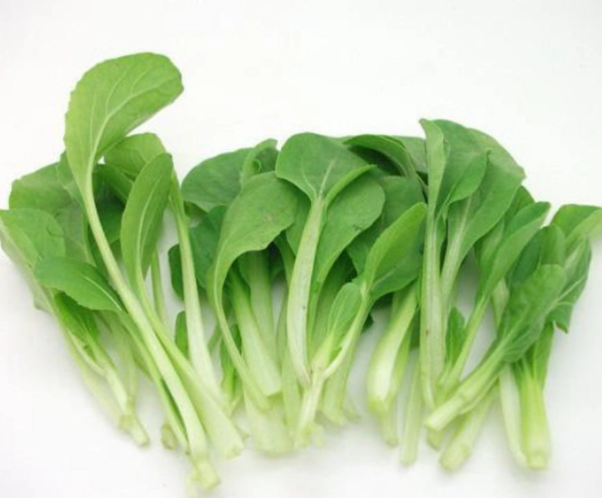 Chicken Mue 鸡毛菜 20lb/case