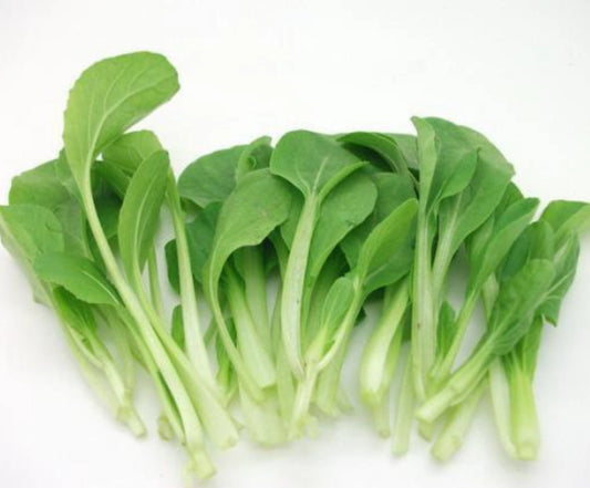 Chicken Mue 鸡毛菜 20lb/case