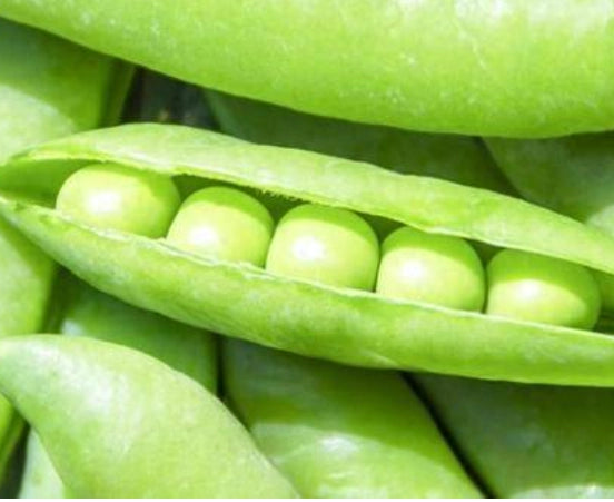 SNAP PEAS BULK 甜豆4.5kg/case