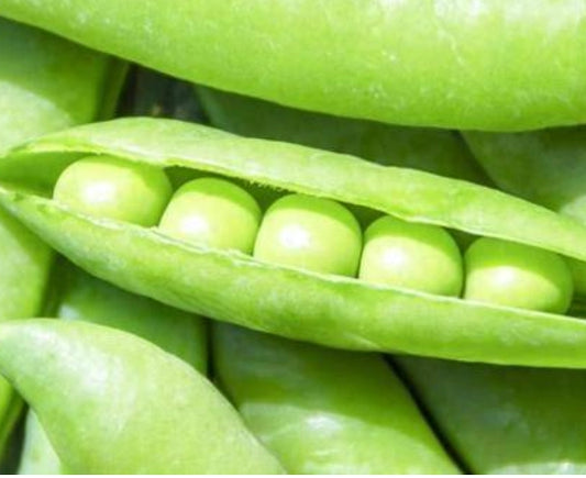 SNAP PEAS BULK 甜豆4.5kg/case