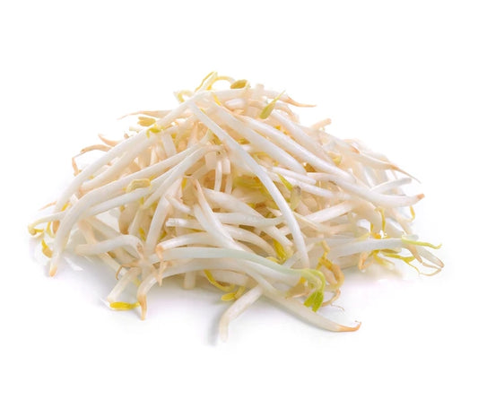 Fresh Bean Sprouts 5lb/bag