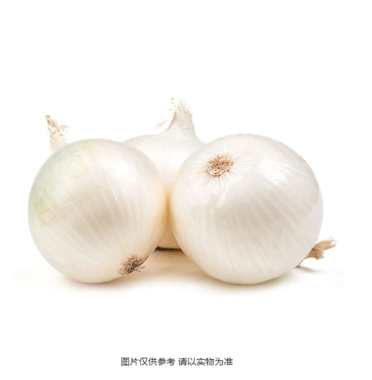 White onion  50lb/bag