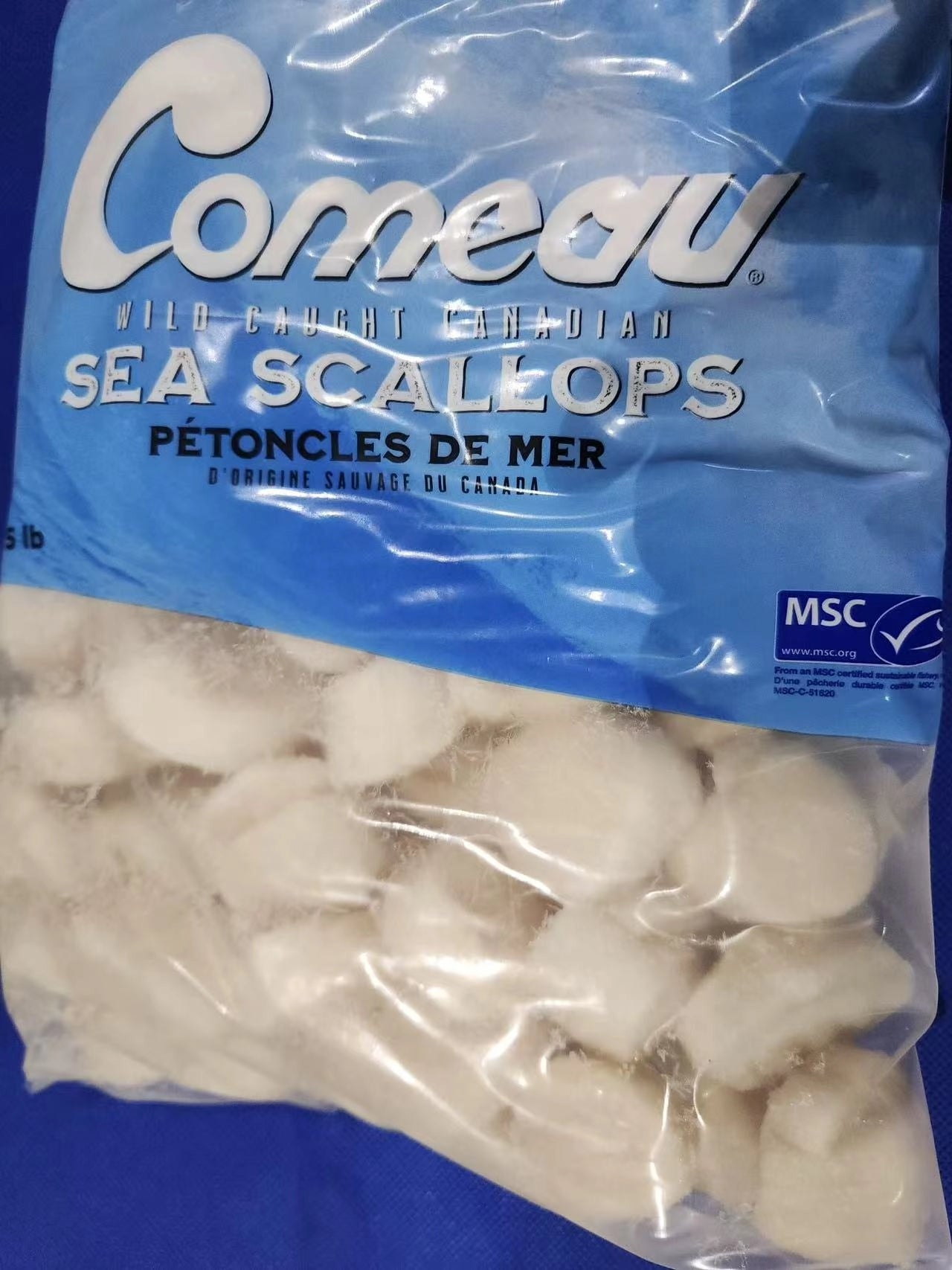 加拿大 急冻带子（scallop） 30/40 size 2*5lb/case