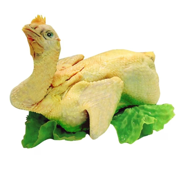 FROZEN TAIWAN CHICKEN LOONG KONG FRSR V.XL 3.5LB UP