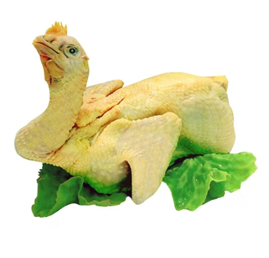FROZEN TAIWAN CHICKEN LOONG KONG FRSR V.XL 3.5LB UP