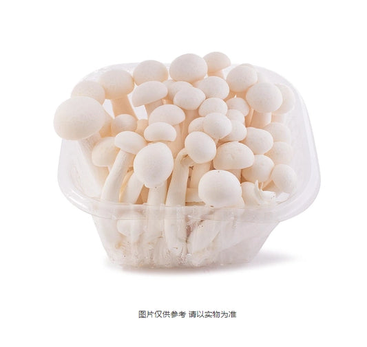 白柳姬菇/包