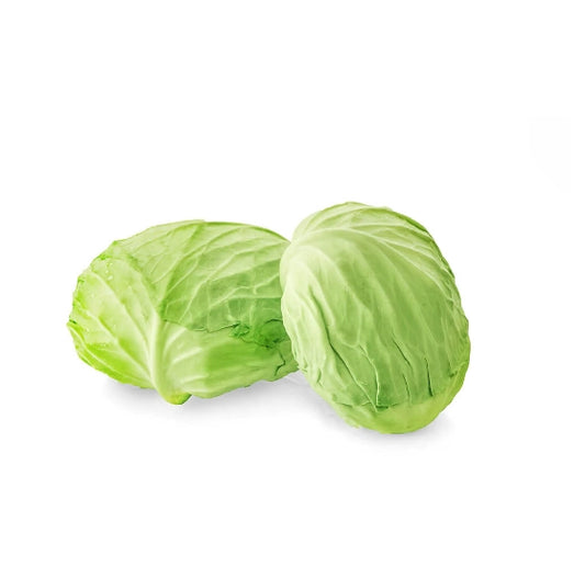 Taiwan Cabbage Green